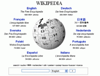 /album/digital-storytelling-by-bianca-pippos/wikipedia1-gif/